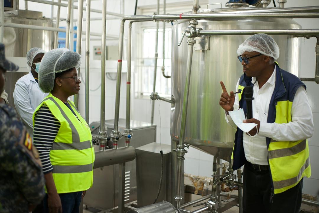 Nathan Katebe Katebe Farm overhaul to support 1,000 jobs through industrial innovation